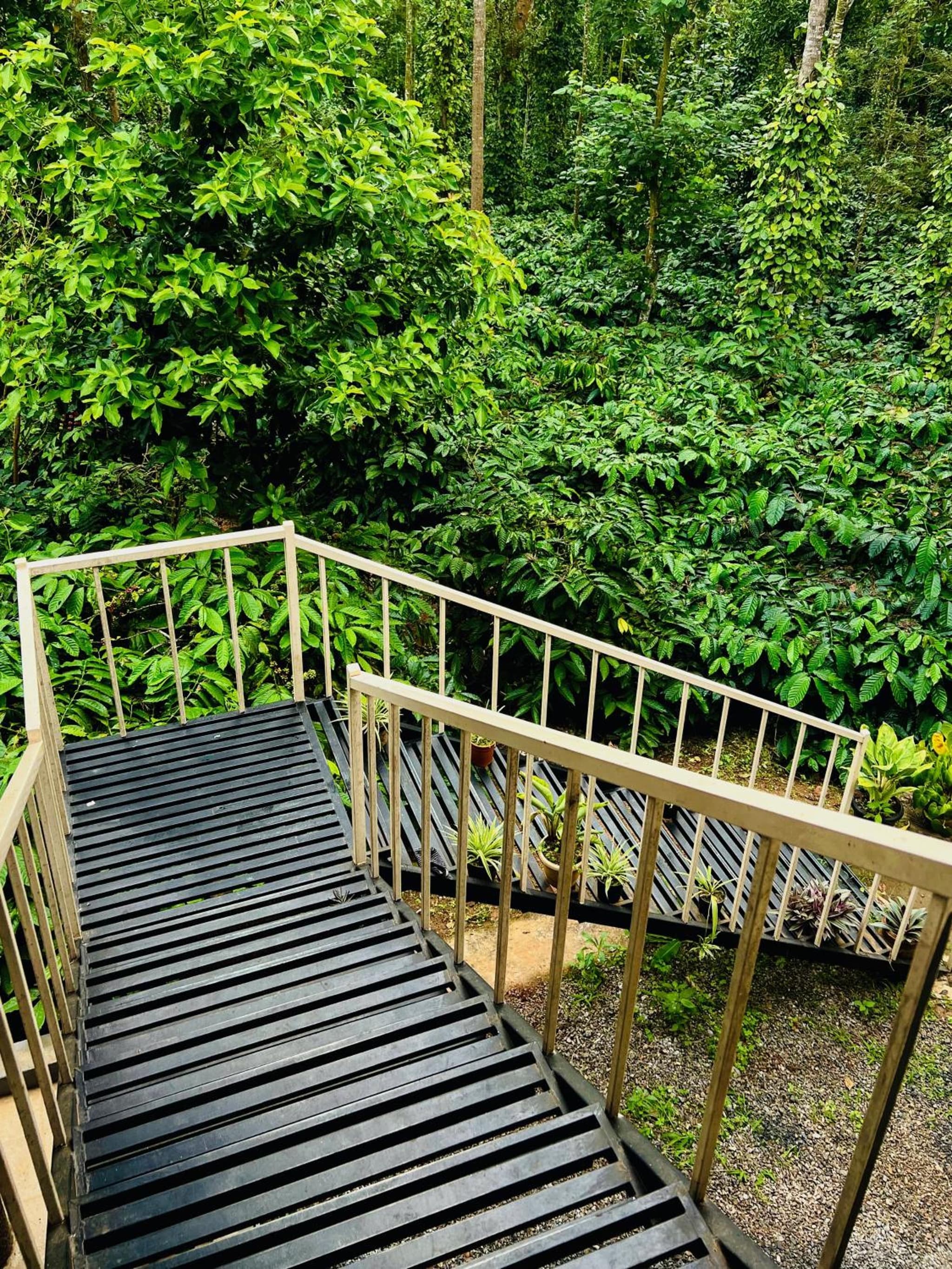The Last Try - Secret Ashram Coorg photo 3