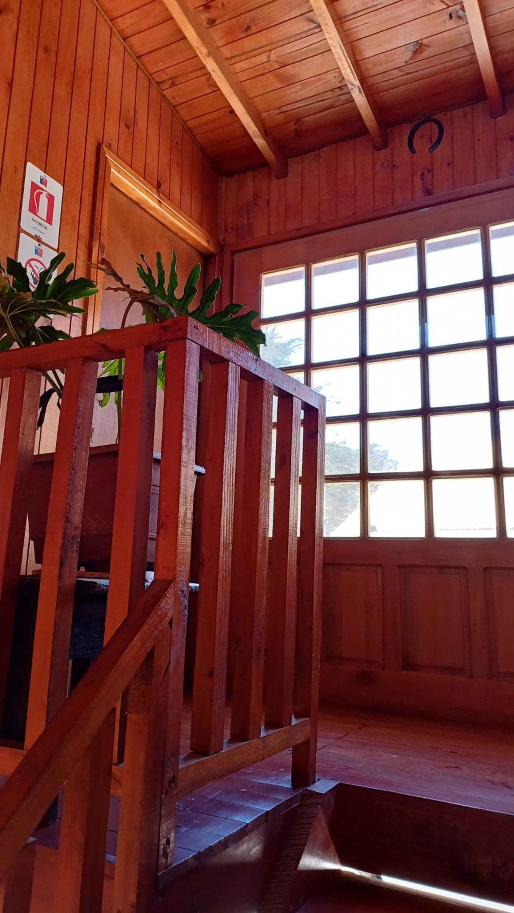 Lafquen pichilemu photo 3