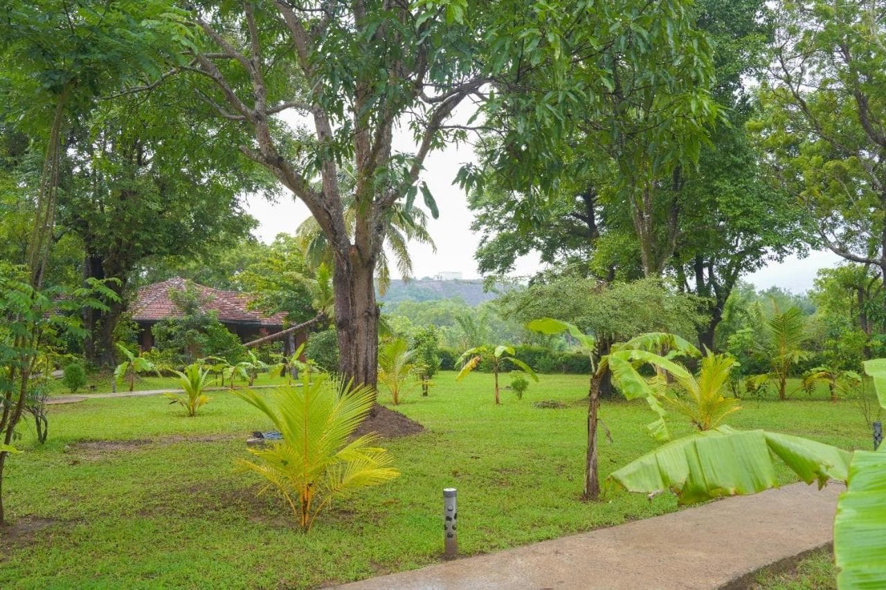 Sigiriya Cottage photo 6