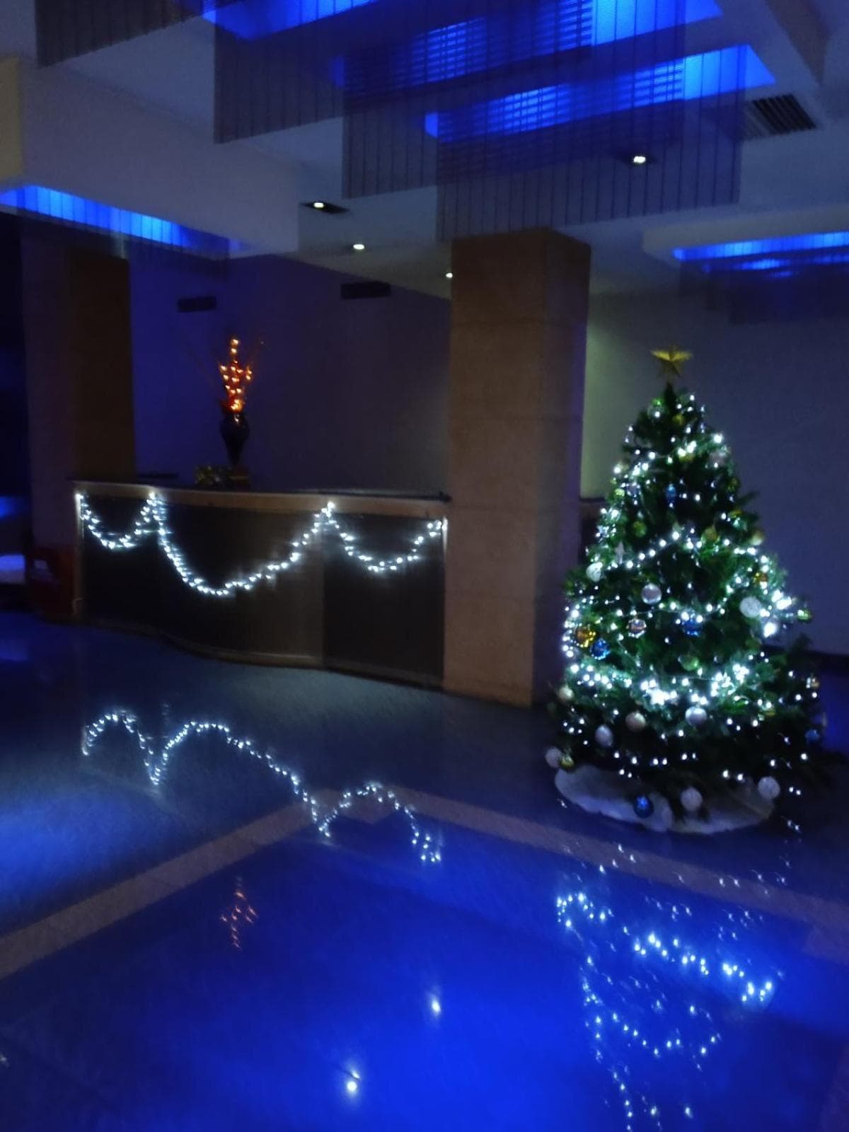 Olympic Hotel photo 9