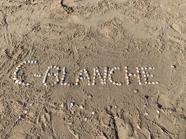 C-Blanche photo 8