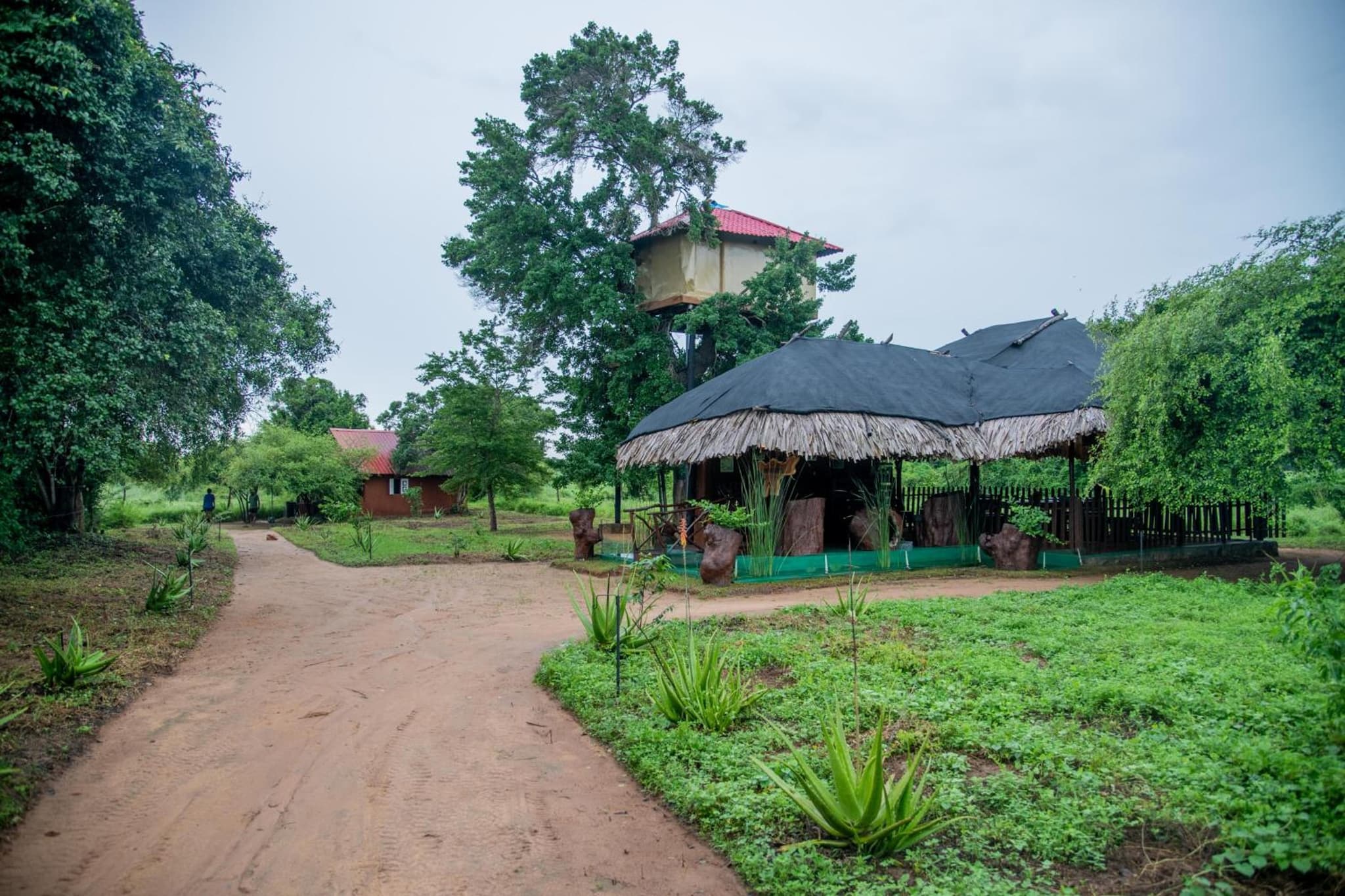 Animal View Point Yala photo 4
