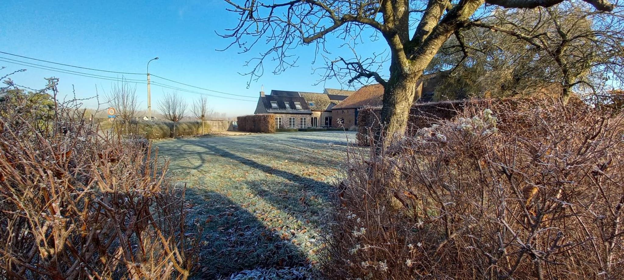 Hermelgemhoeve - Zonnebloem photo 5