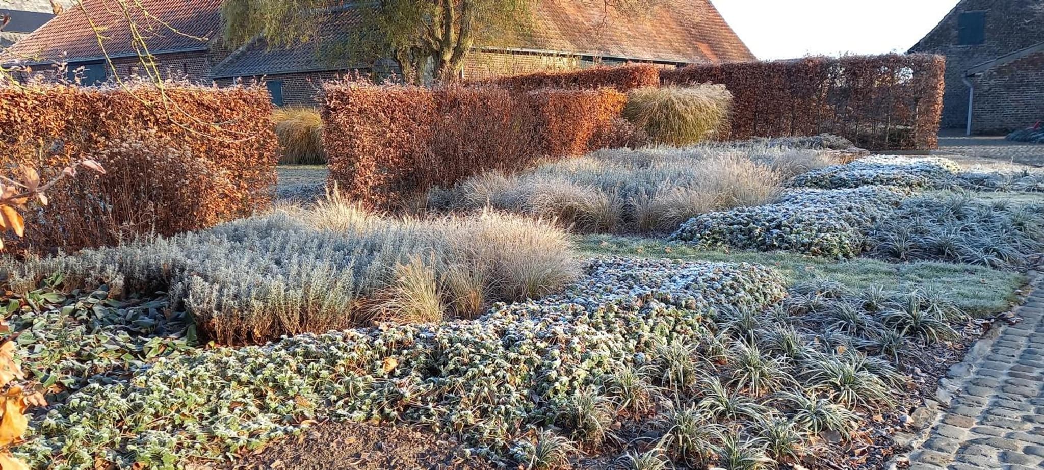 Hermelgemhoeve - Zonnebloem photo 6