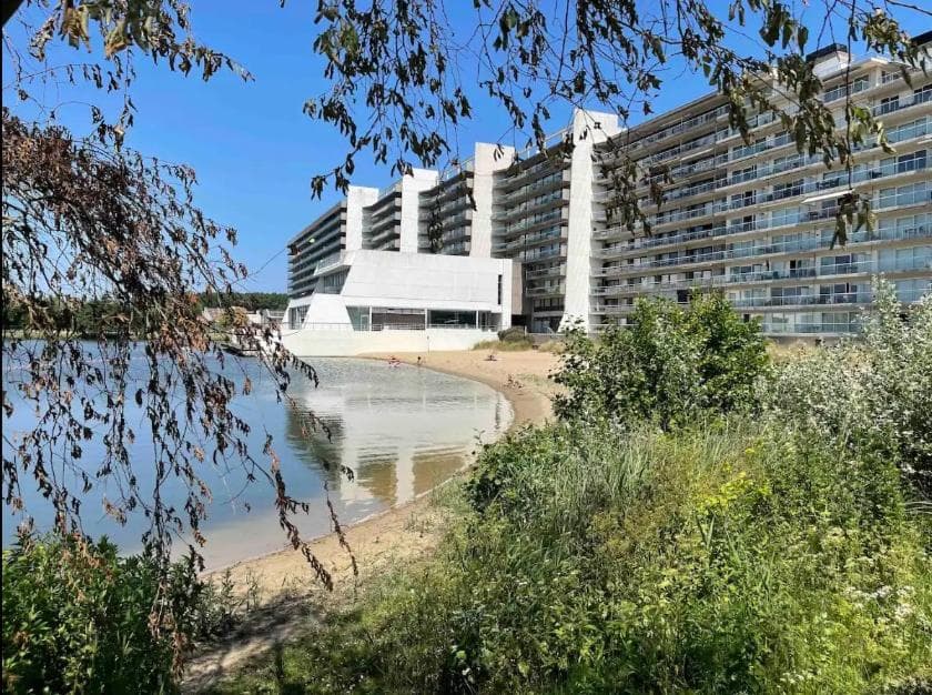 Piscine, vue, terrasse