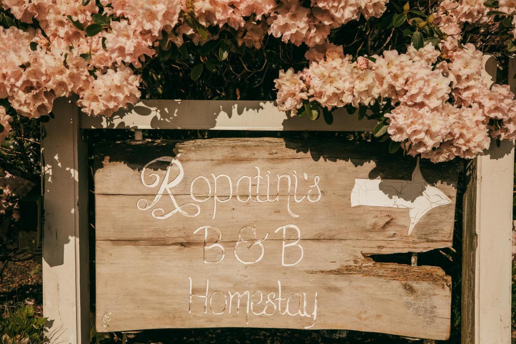 Ropatinis Bed & Breakfast photo 2