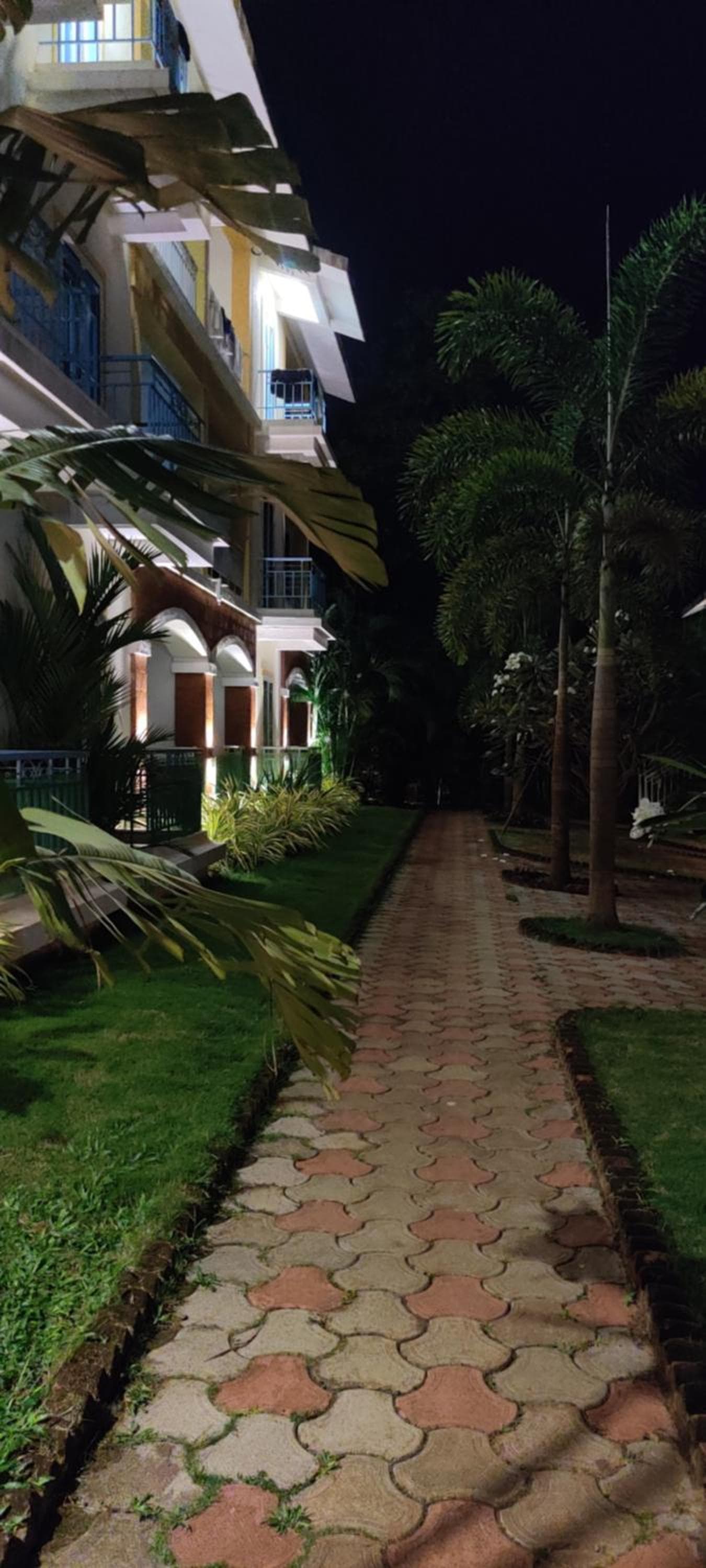 Passions de Goa photo 9