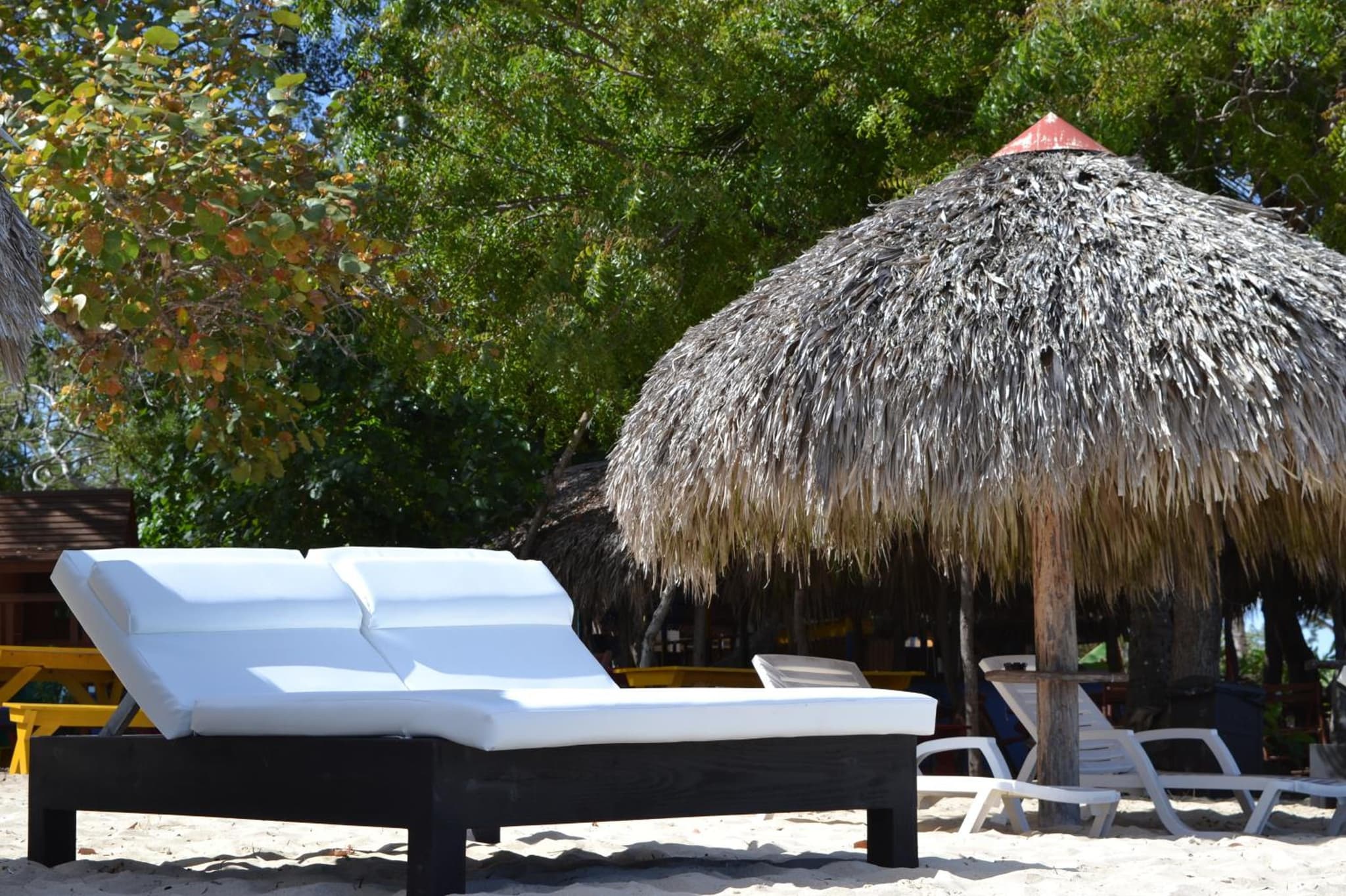 Paradise Island Beach Resort photo 7