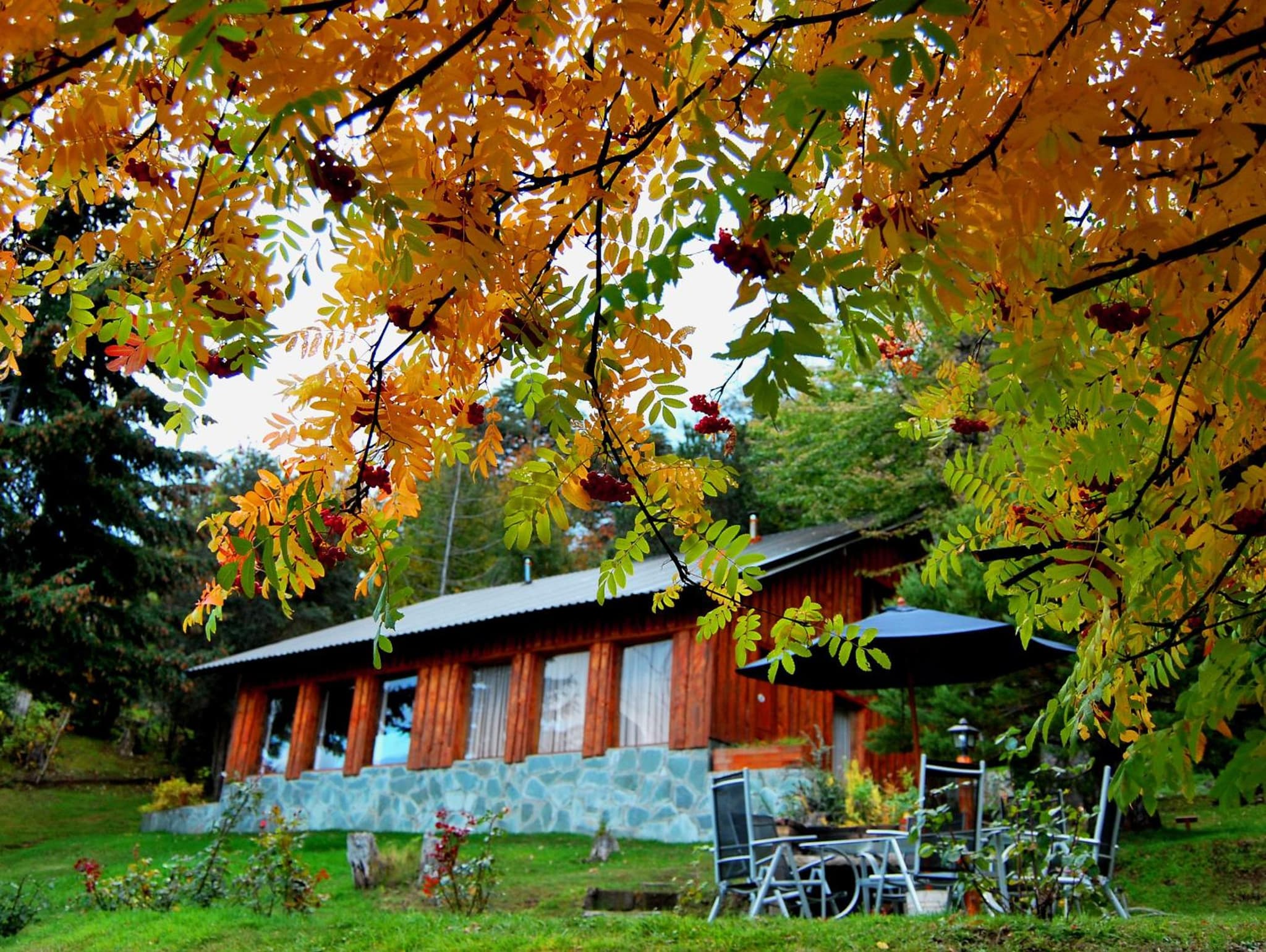 Cabañas Villa Pañil photo 3
