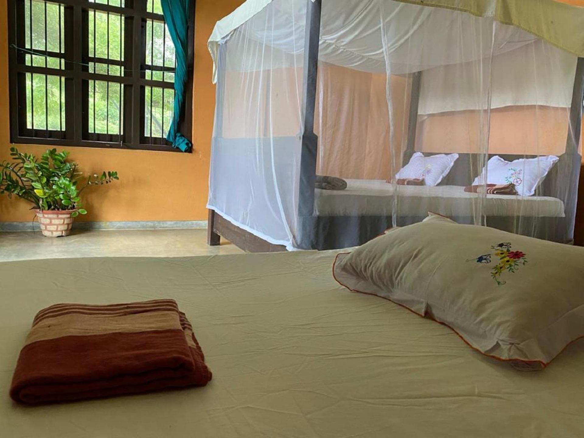Yala Ying Yang Hostel & Camping photo 7
