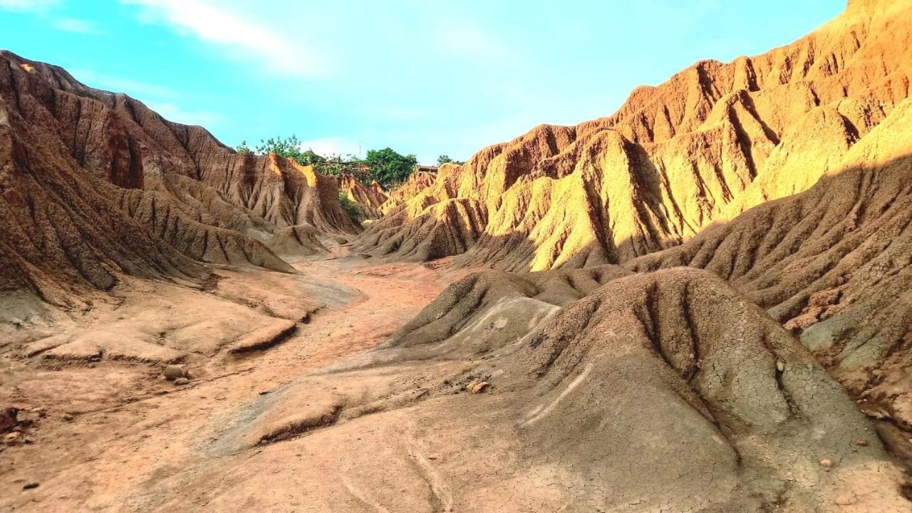 Avani del desierto photo 8