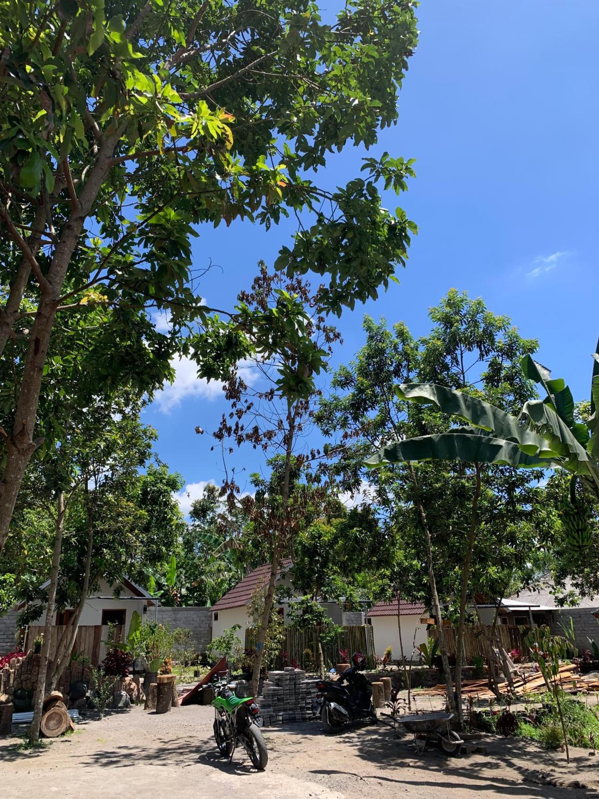 Avocado homestay photo 3