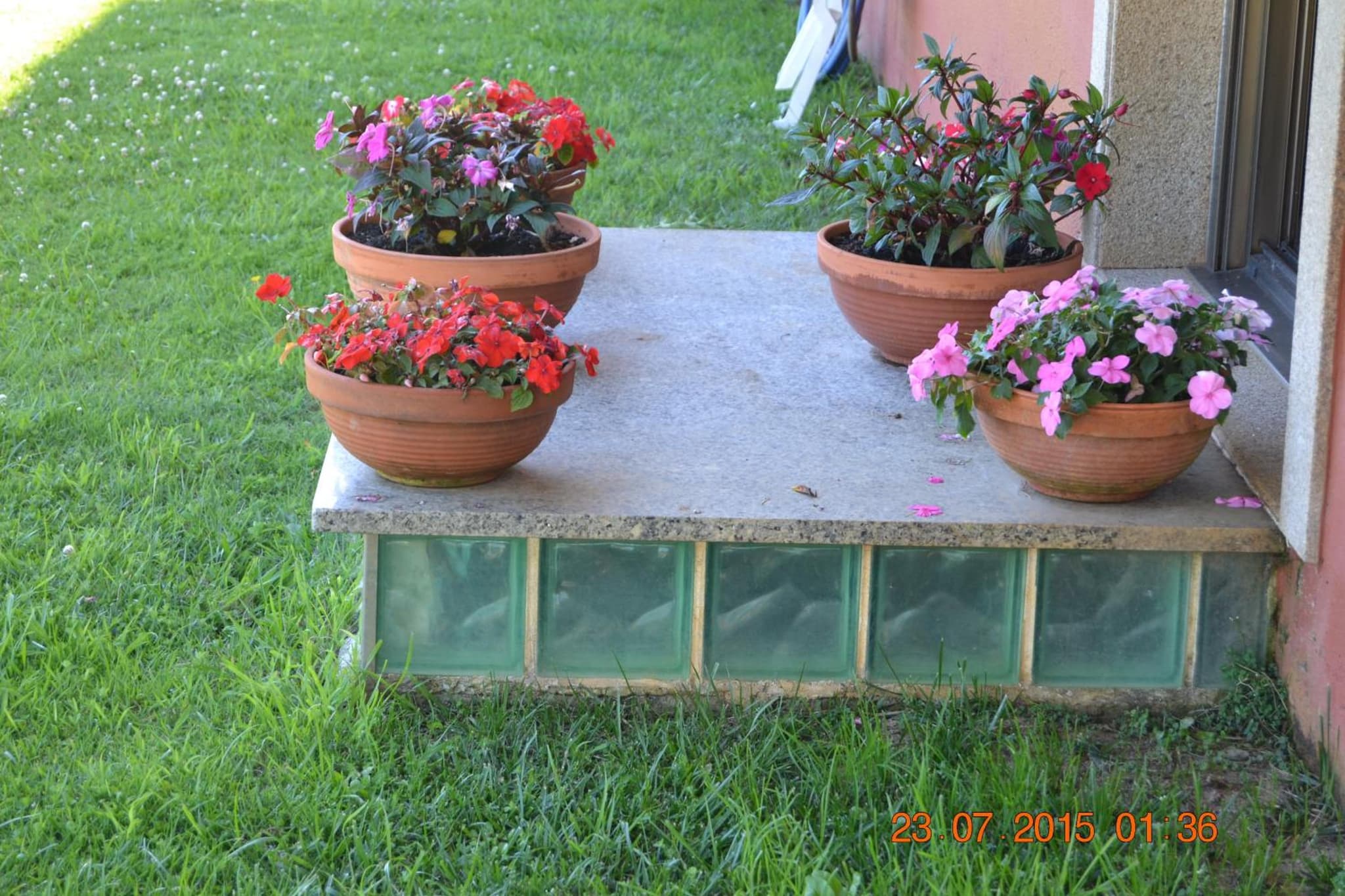 Apartamentos Montalvo Playa photo 3