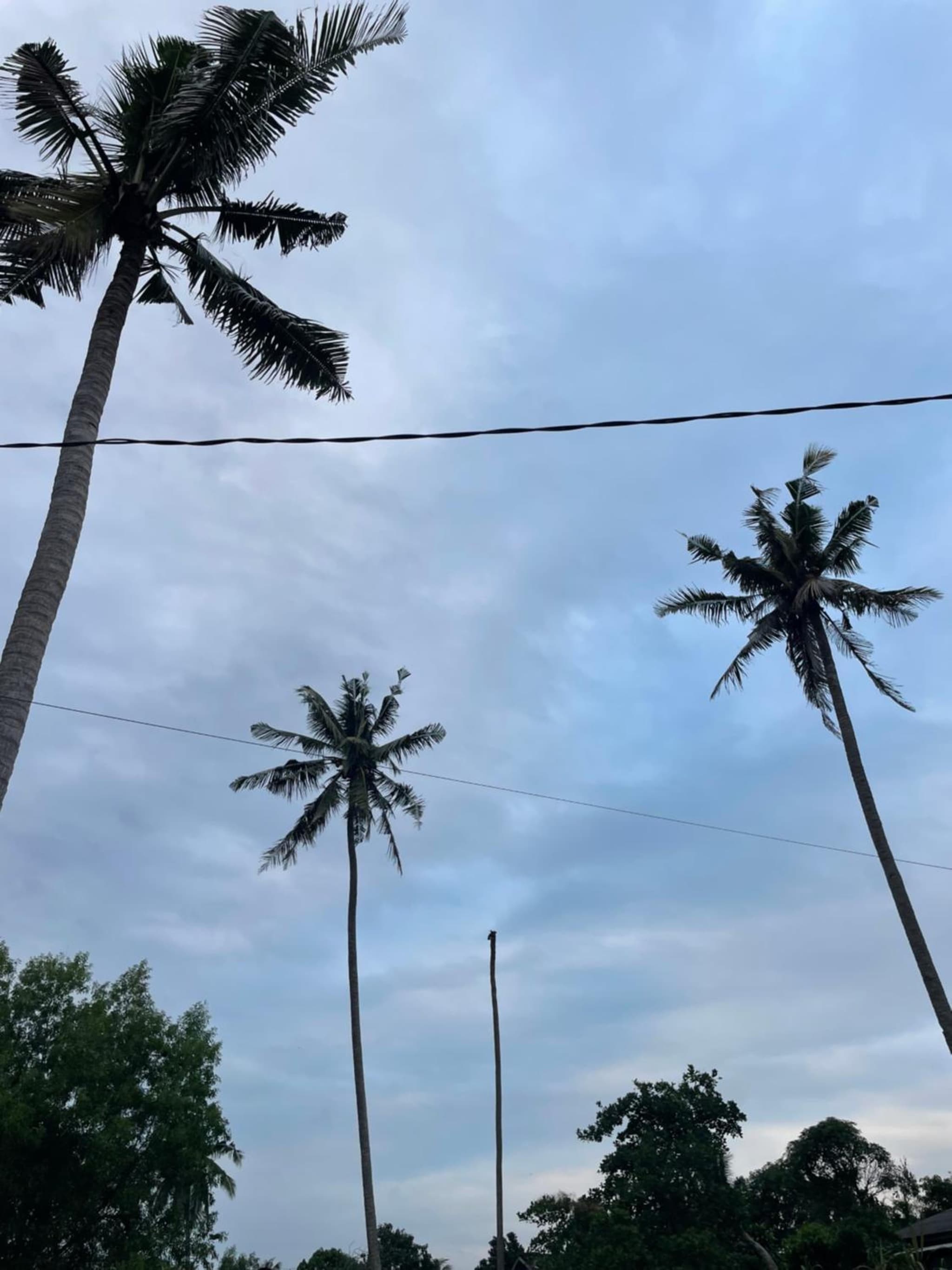 Paktam Ruduwe Homestay photo 4