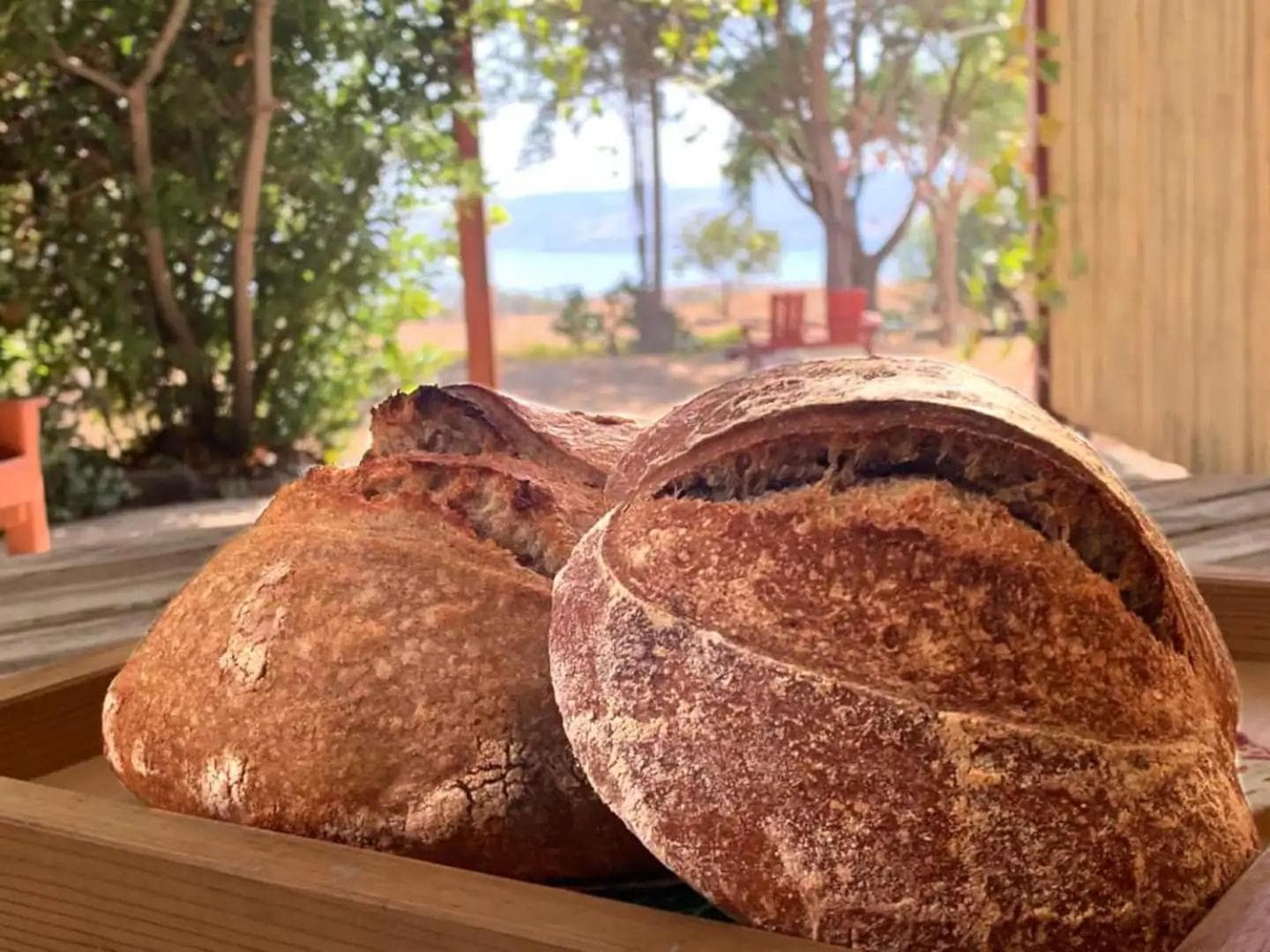 Bed & Bread photo 7