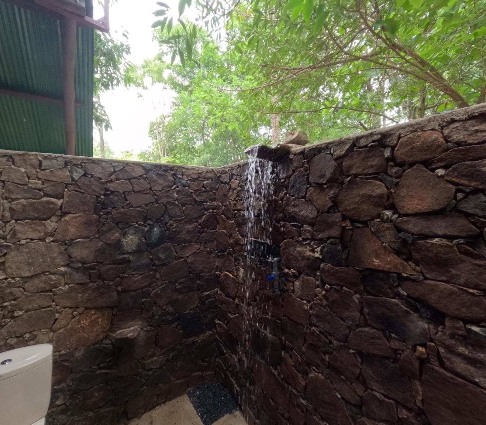 Coconut Tree House photo 2