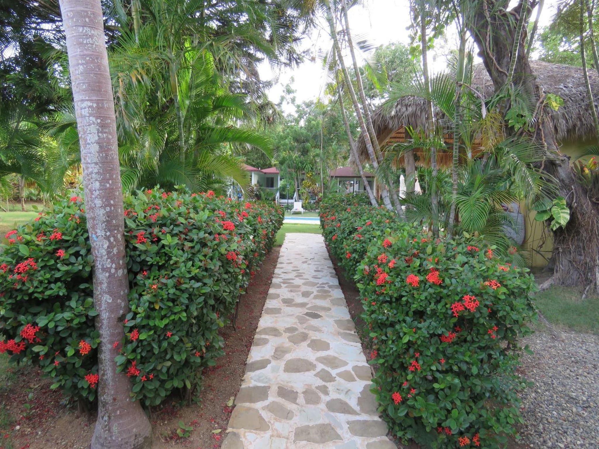 Bungalow Natura Village photo 7