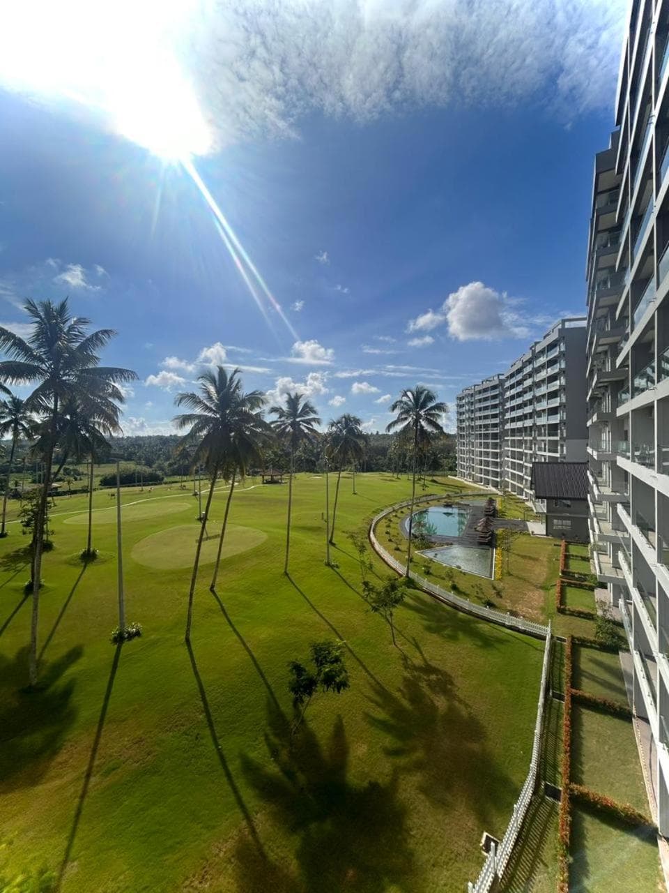 Green Condo photo 2
