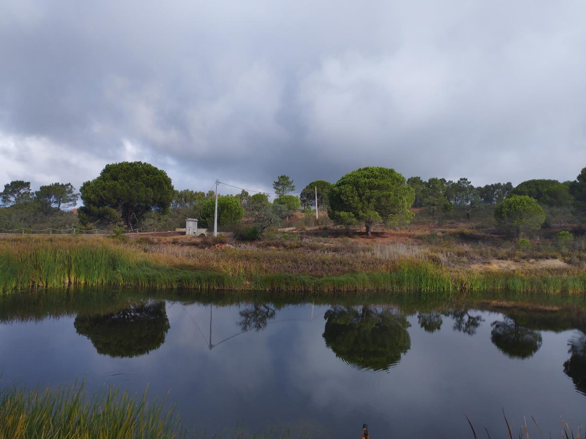Monte Sardinha photo 2