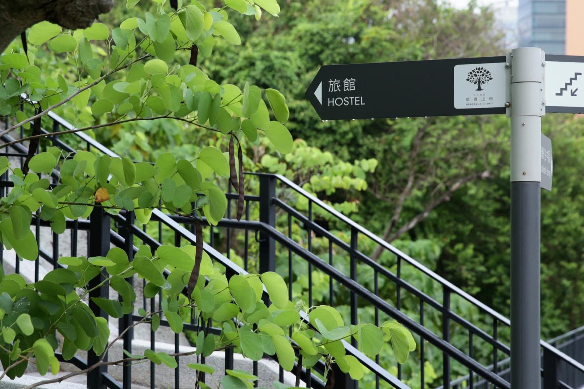 饒宗頤文化館 - 翠雅山房 photo 7