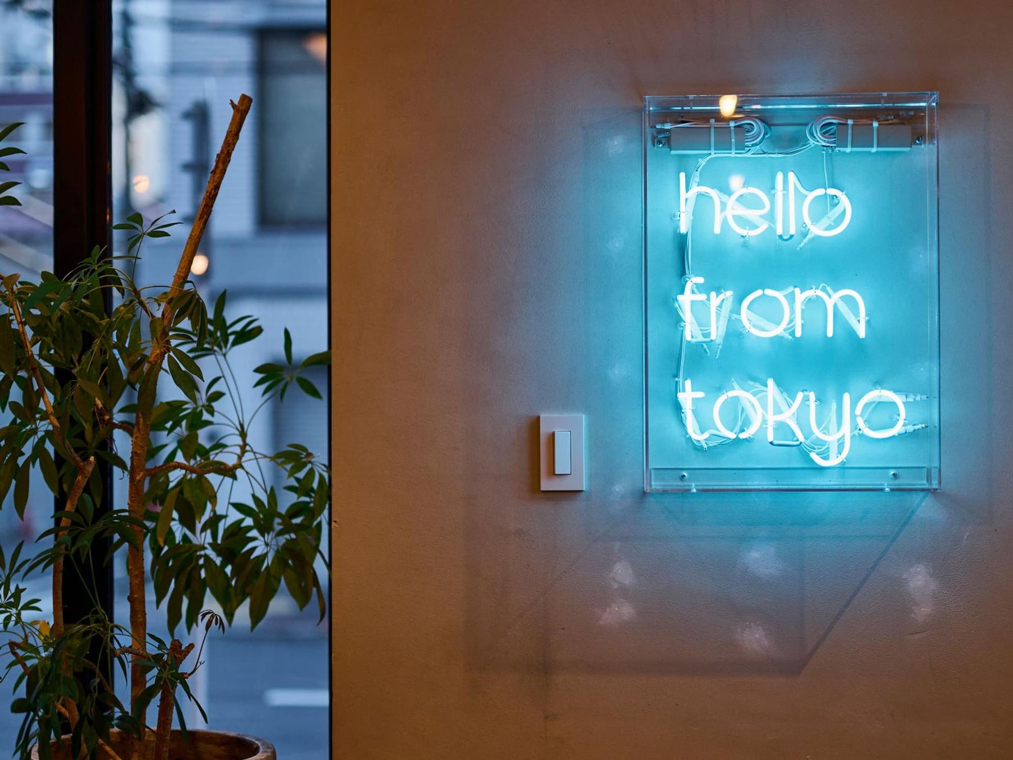 Hotel Plus Hostel TOKYO AKIHABARA photo 6