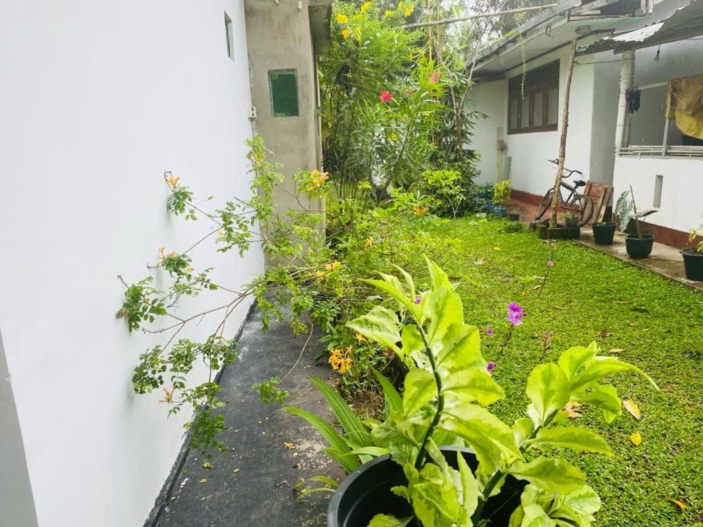 Mangroves homestay photo 6