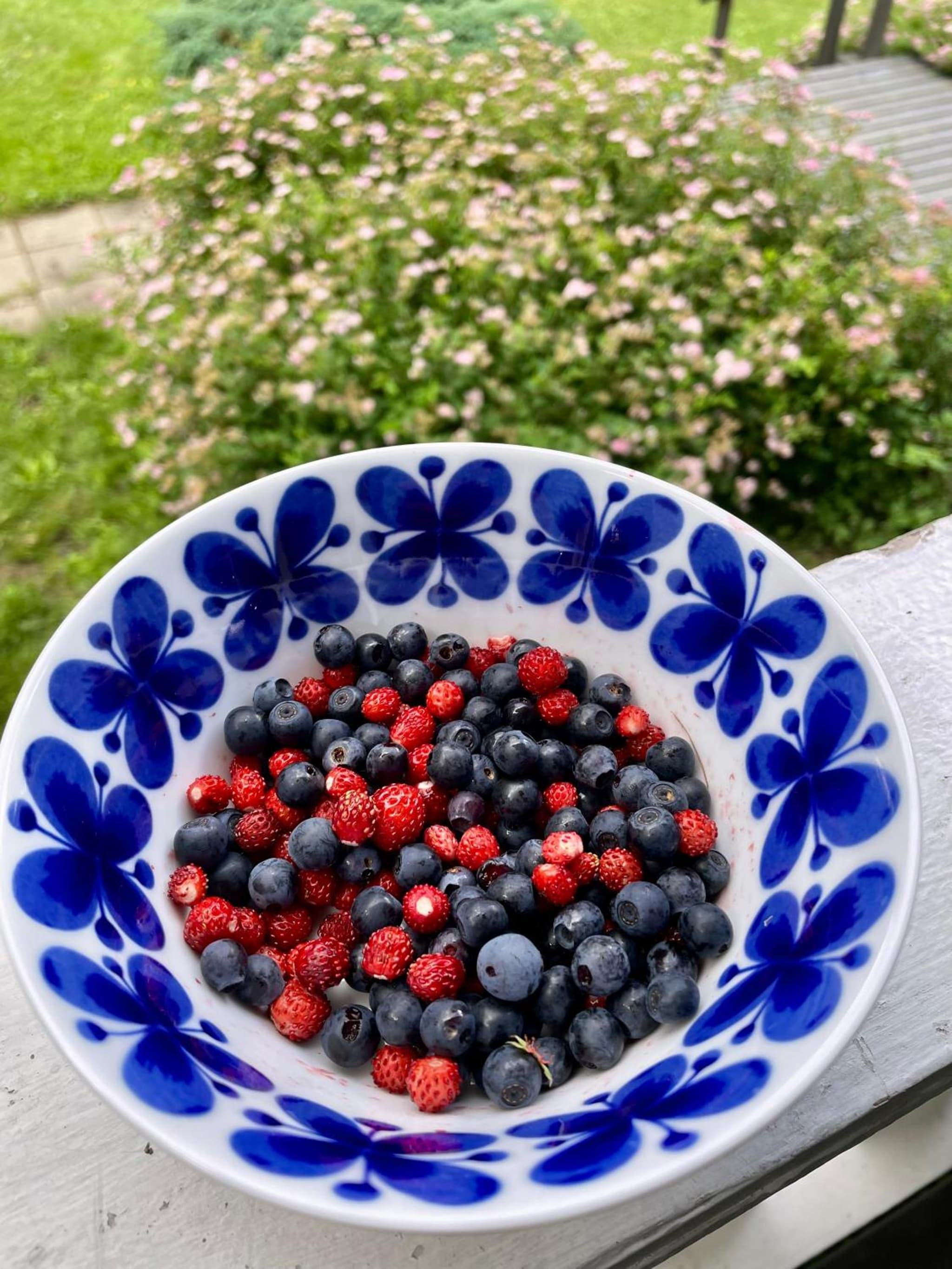 Blueberry Villa at Saimaa Lakeside photo 5