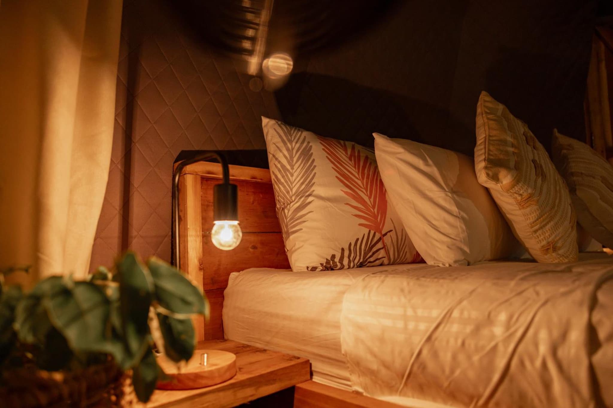 Domes and Dreams Lio Glamping photo 7