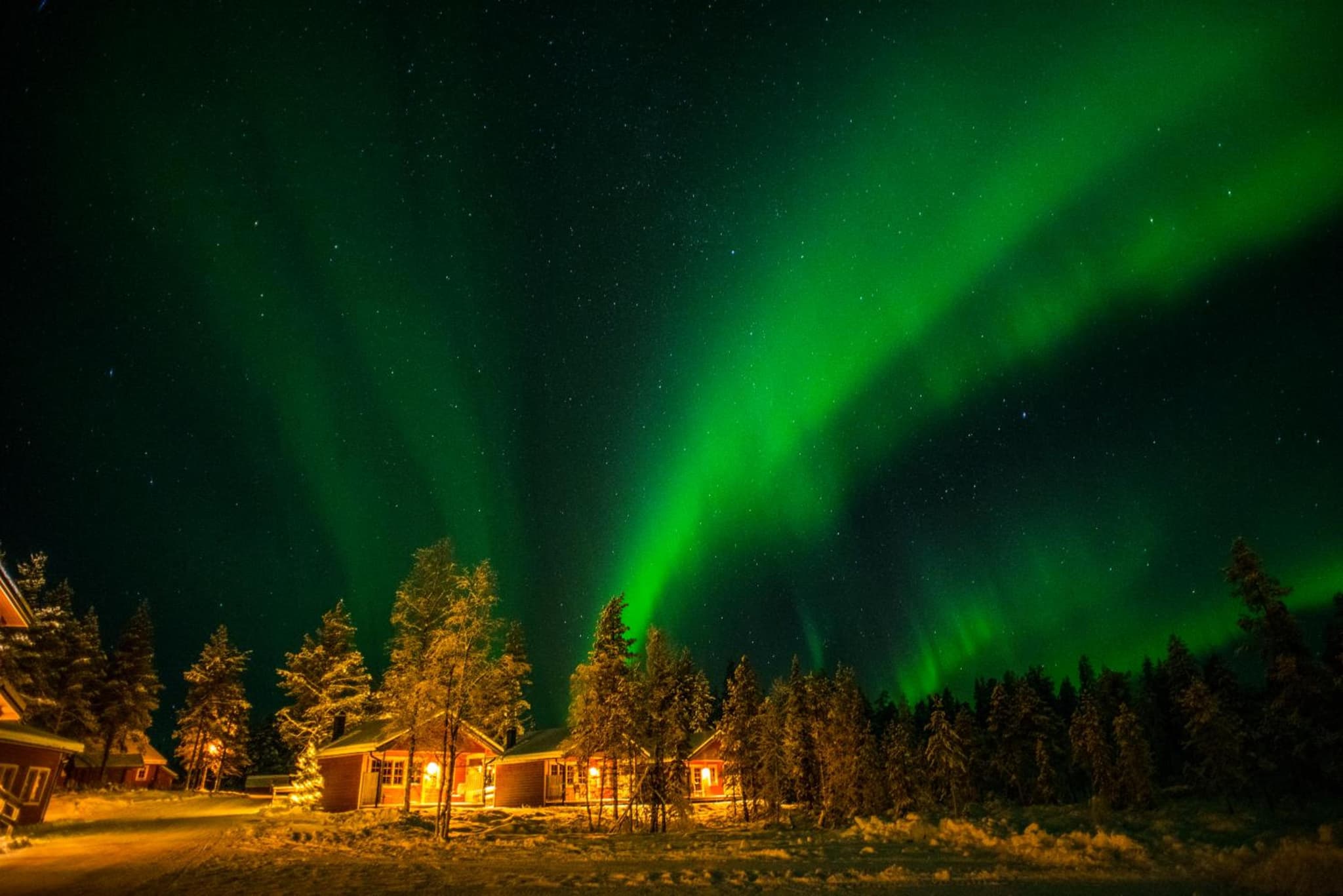Pinetree Lodge photo 6