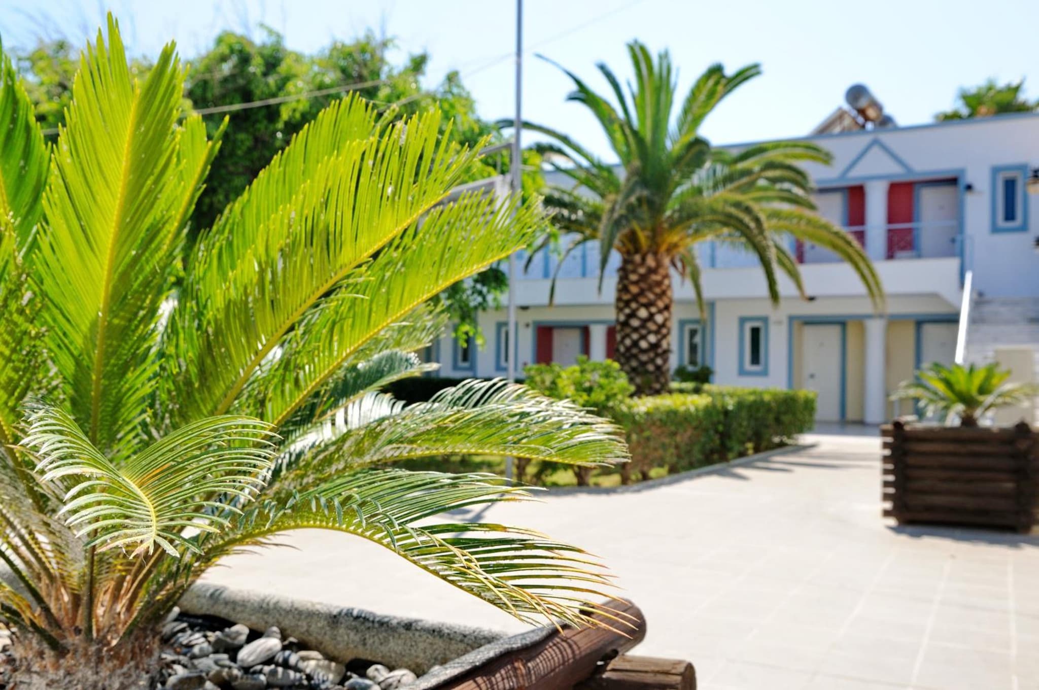 Akti Dimis Hotel photo 5