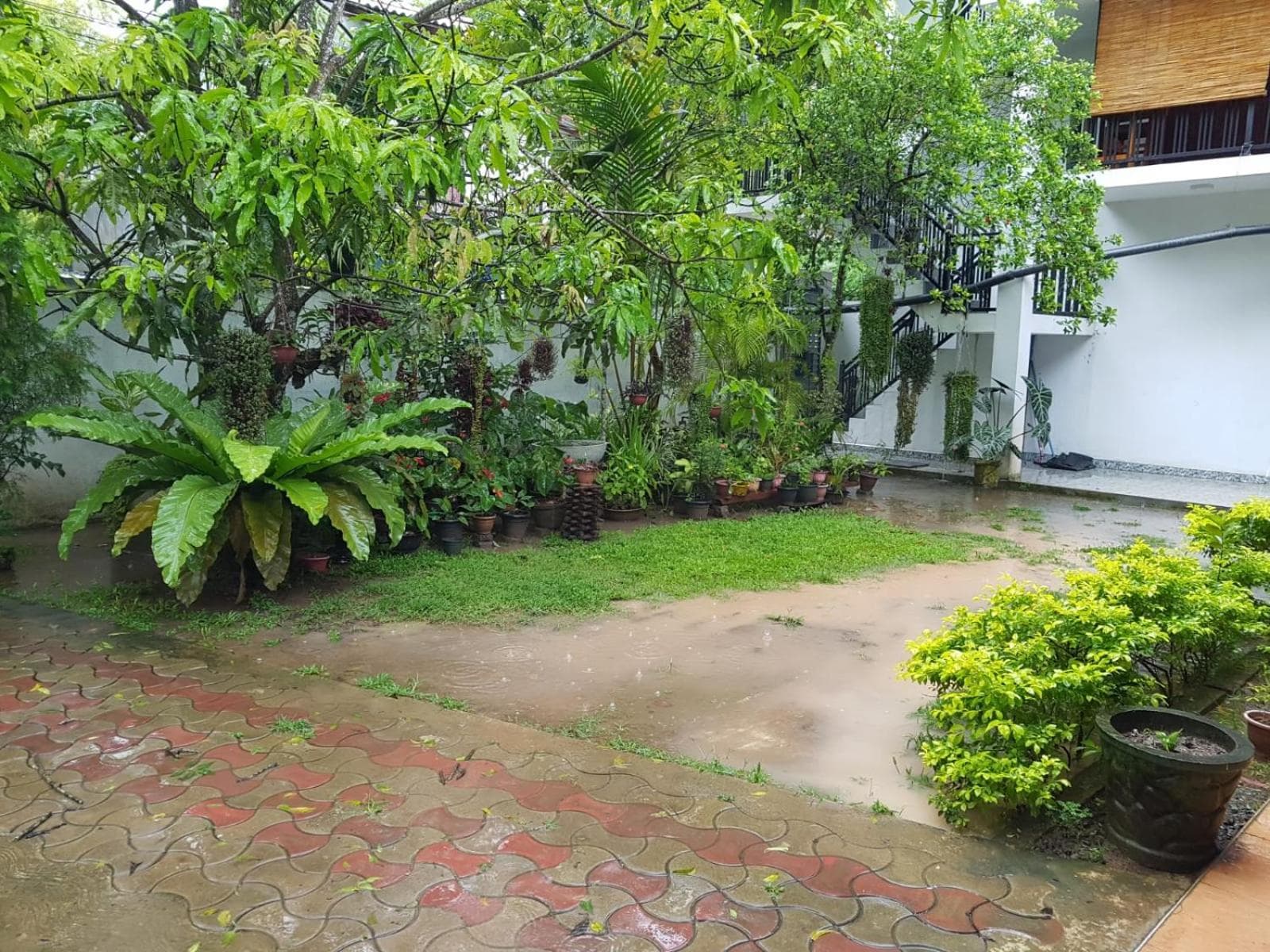 Blue sky villa photo 5