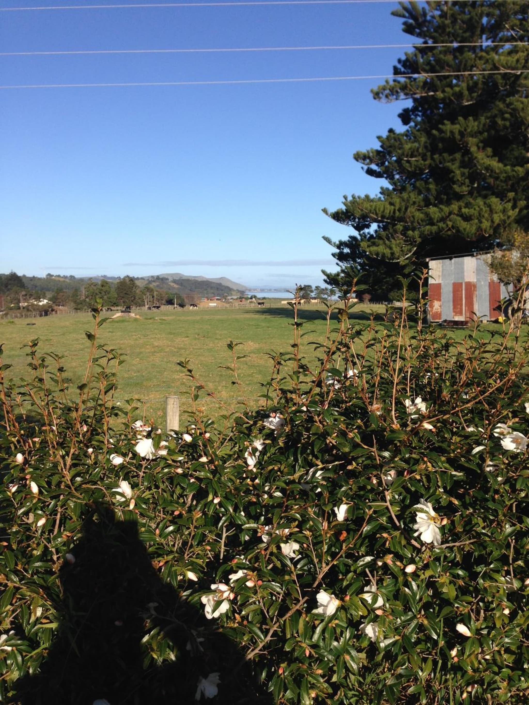 Tui Lodge photo 5