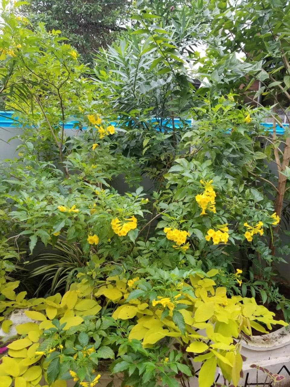 Berty's Cottage Home Stay photo 3