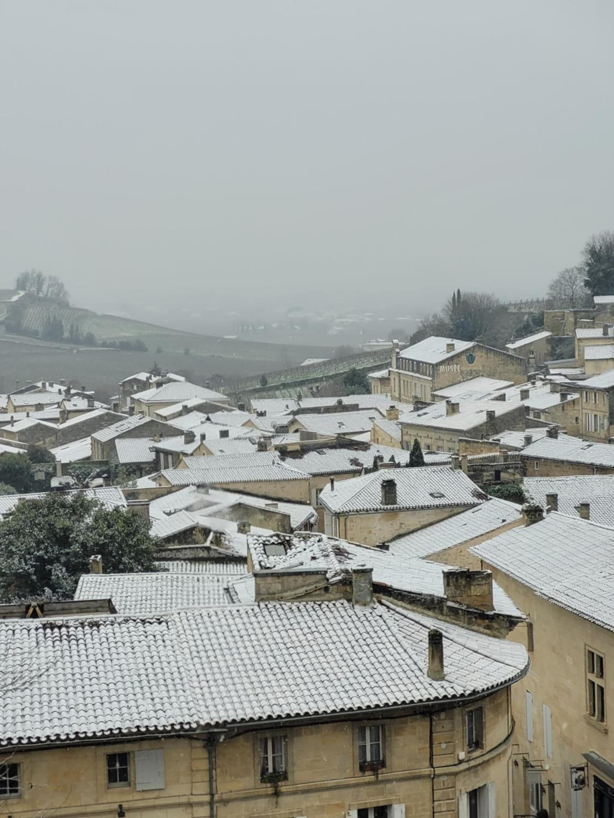 La Maison Colline photo 7