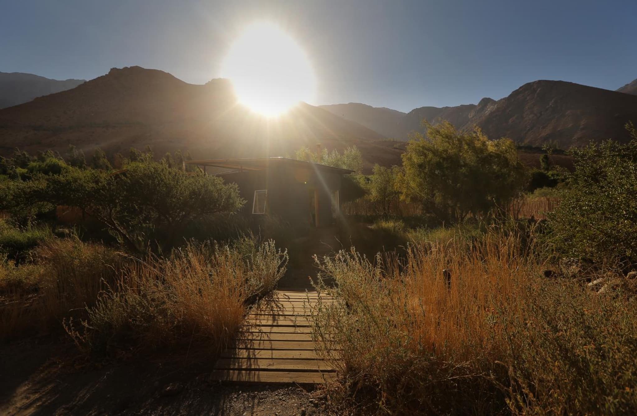 Reset Elqui photo 3