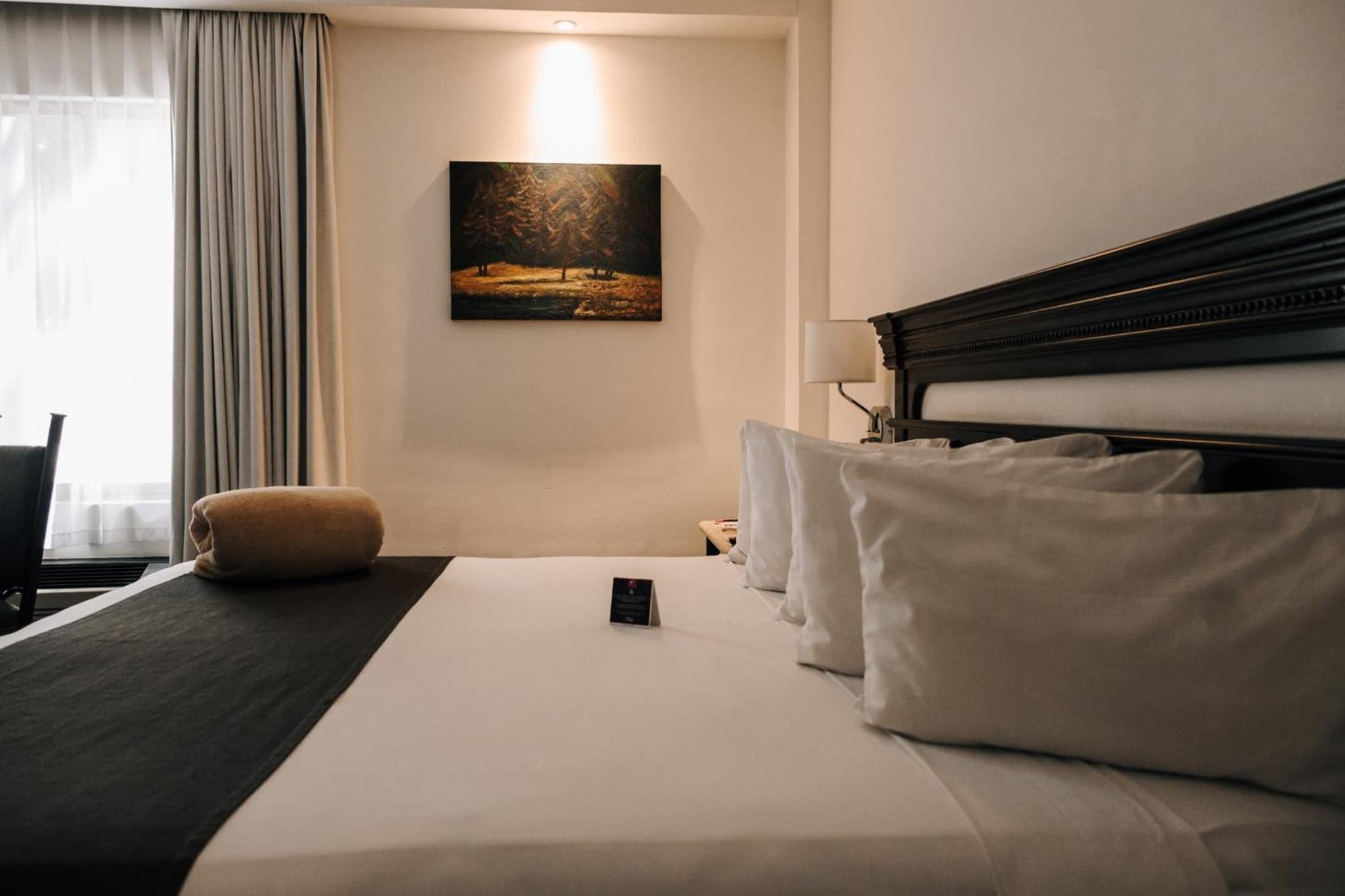 Hotel Victoria Express photo 8