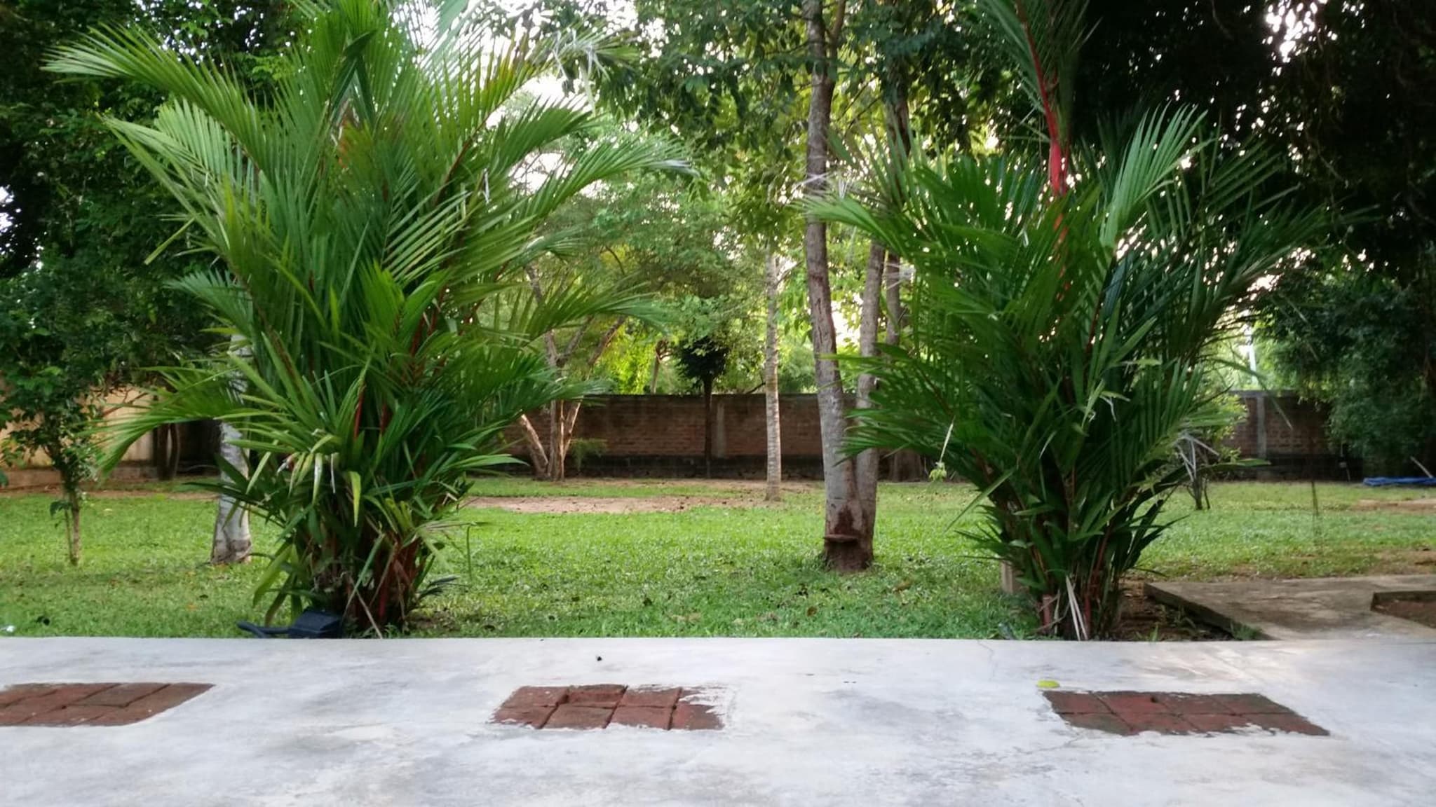 My Village photo 4