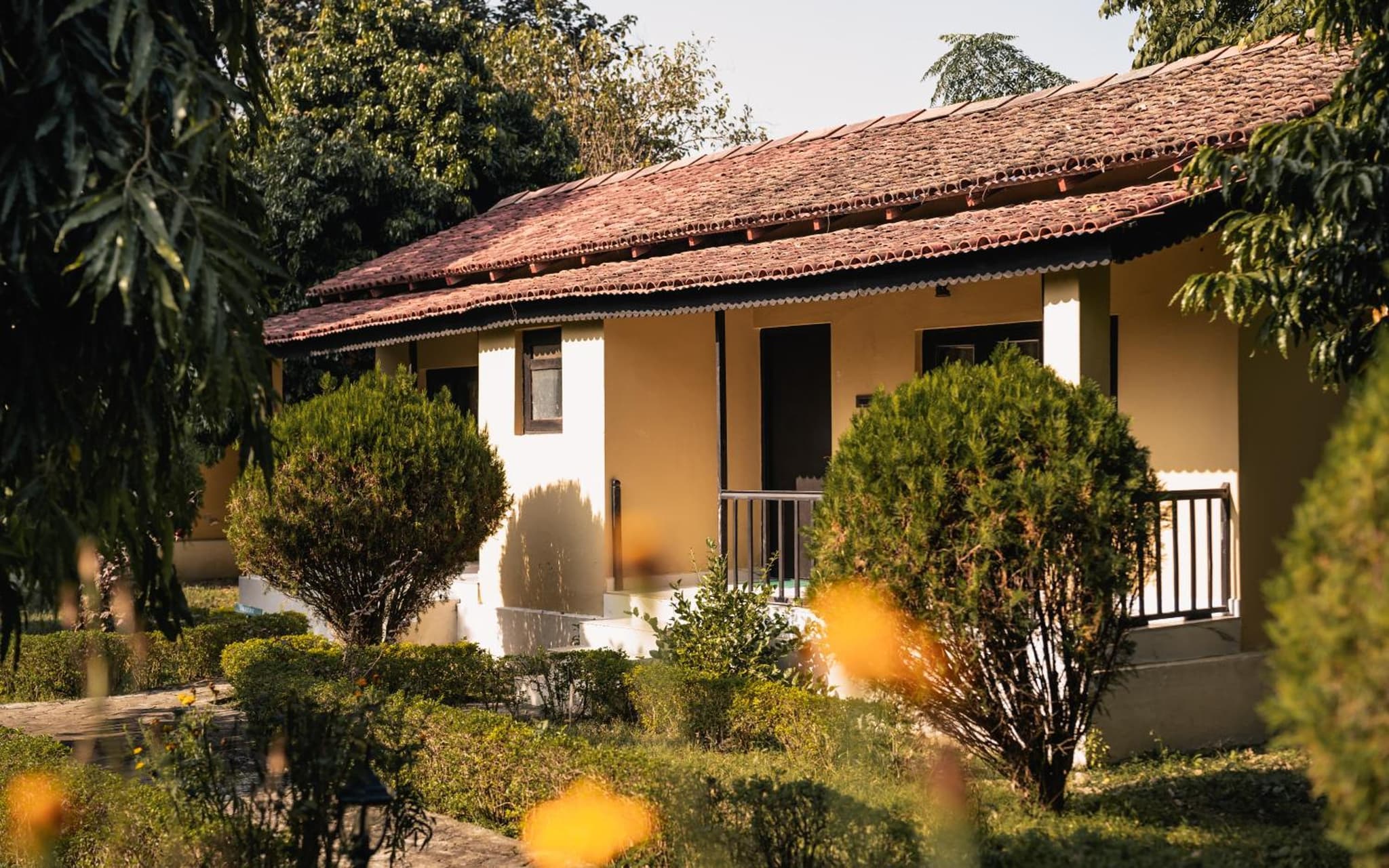 Bardia Forest Resort photo 5