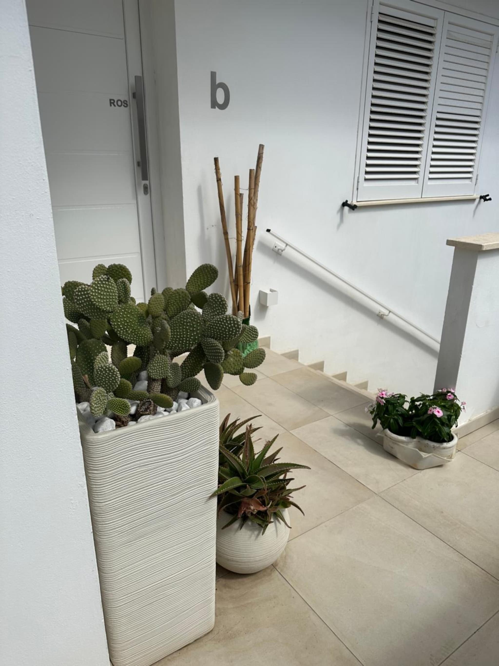 Tom & Ros House photo 3
