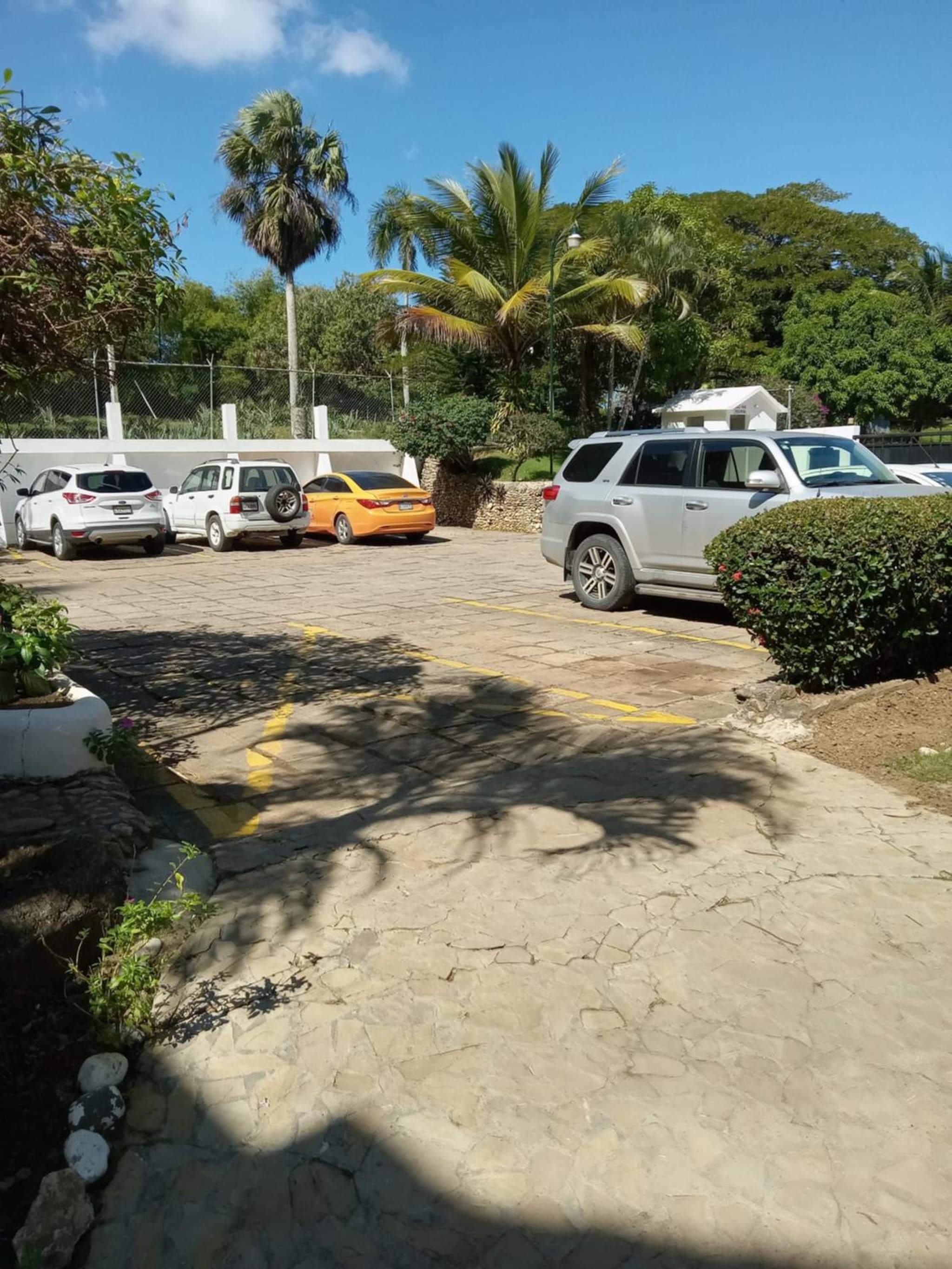 Tropical Optimal Tropicana Sur photo 9