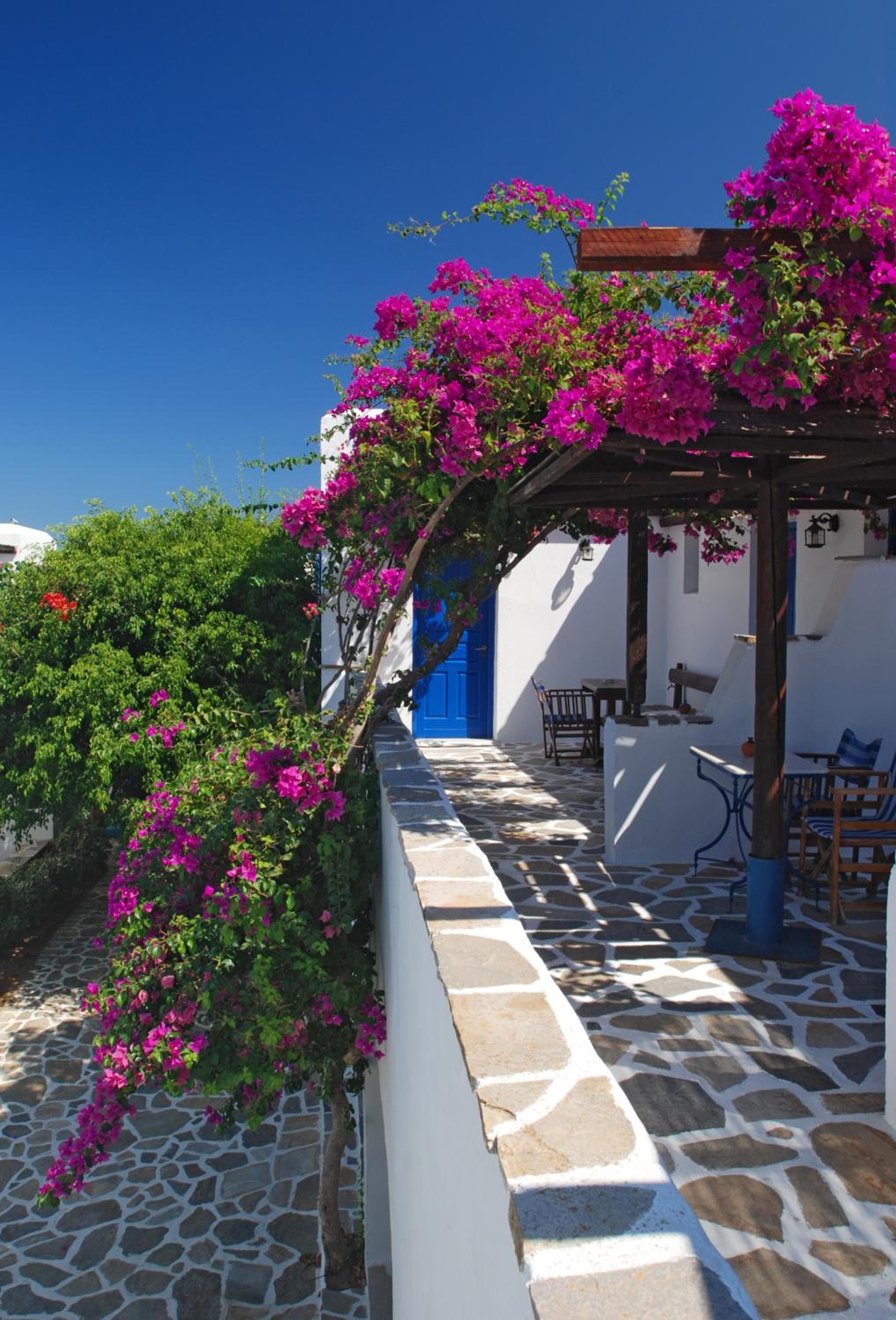Alkyoni Beach Hotel photo 9
