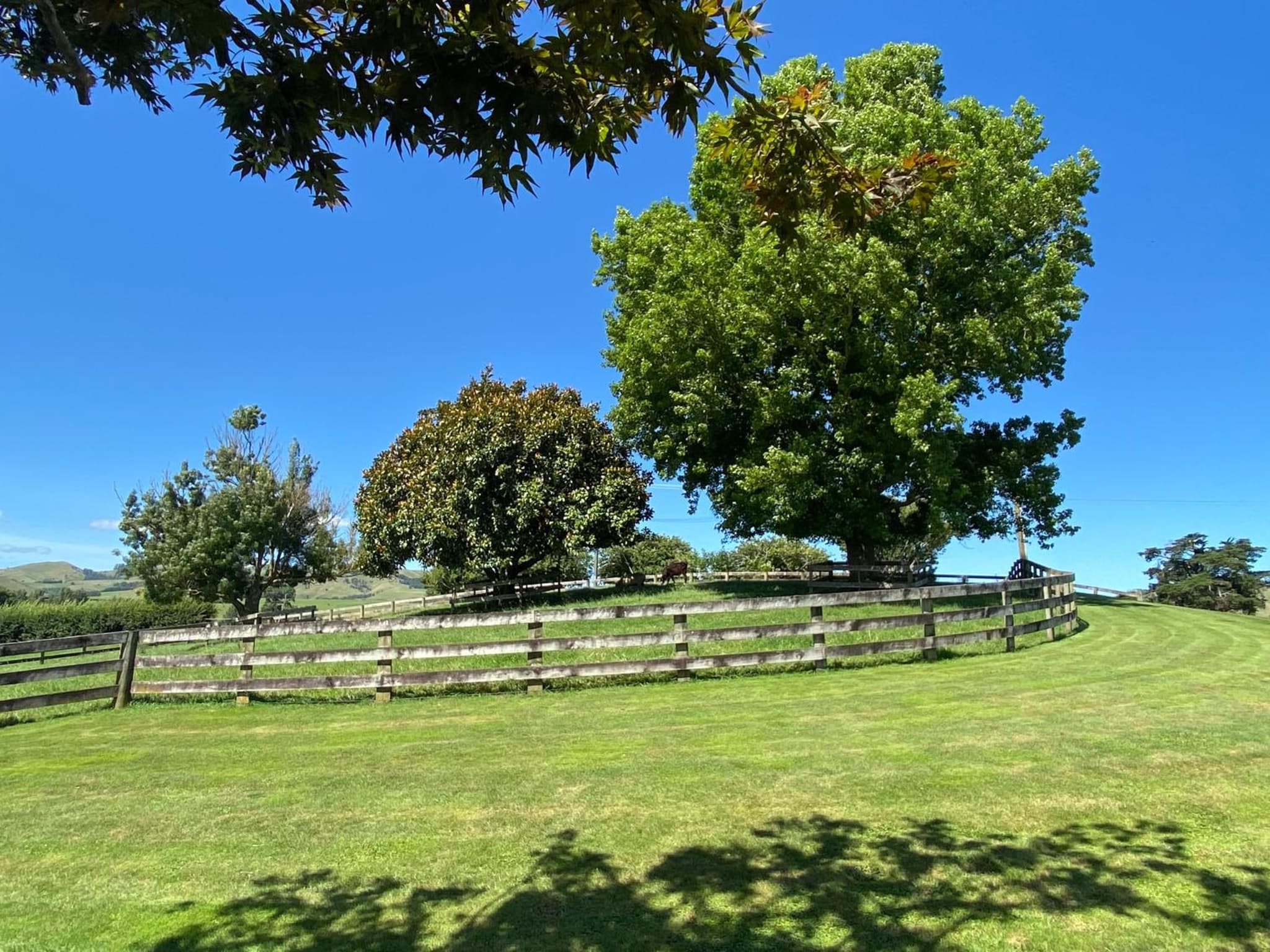 Rural Retreat photo 4