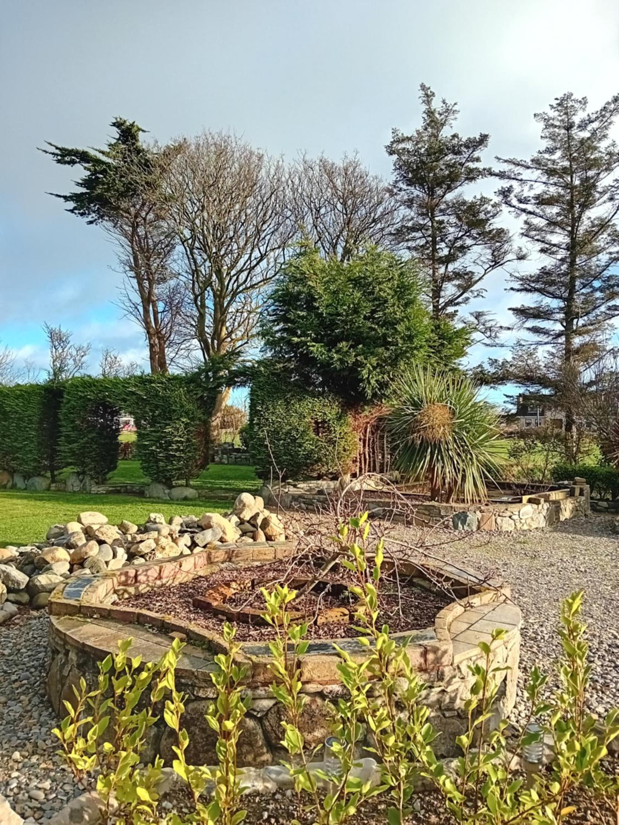 Carlingford Glamping Hut photo 2