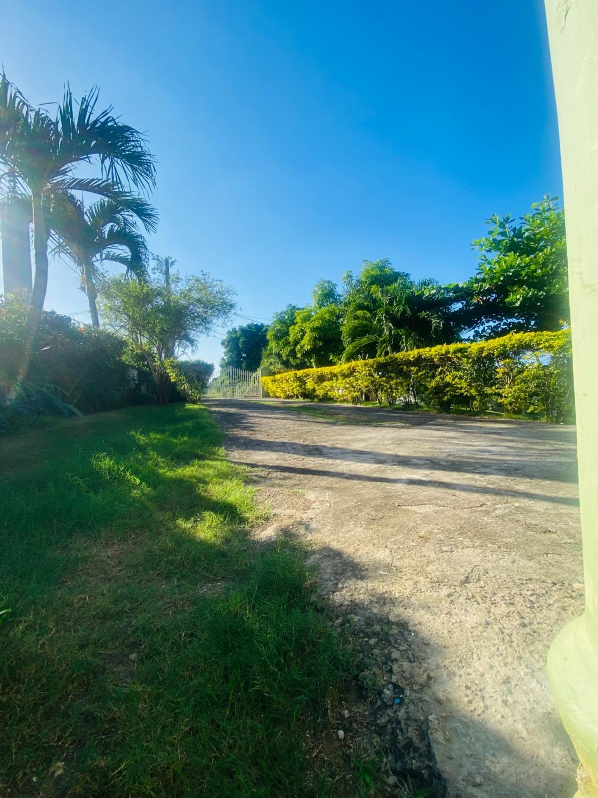 Cindy's Garden Stay photo 2