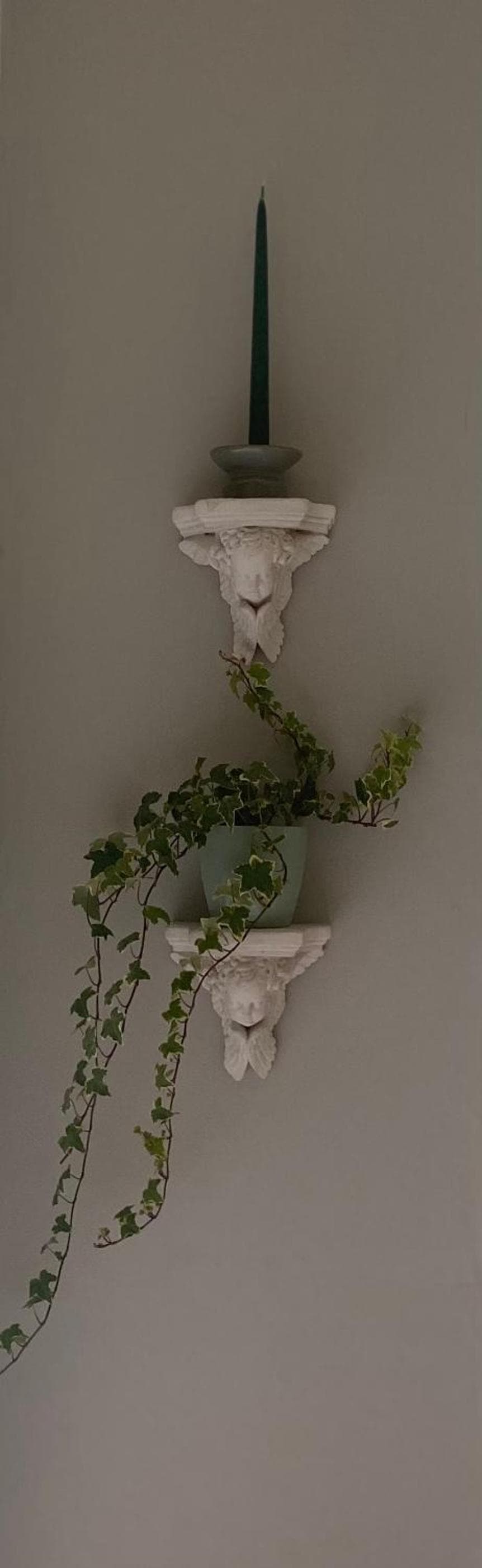 Oakhurst Guesthouse photo 3