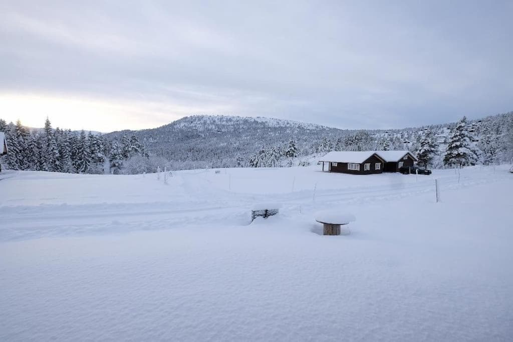Ny og moderne hytte i Stryn. Solrik plassering photo 3