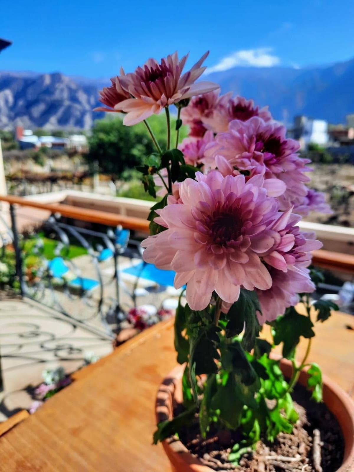 Luna de Cafayate Hotel Boutique photo 9