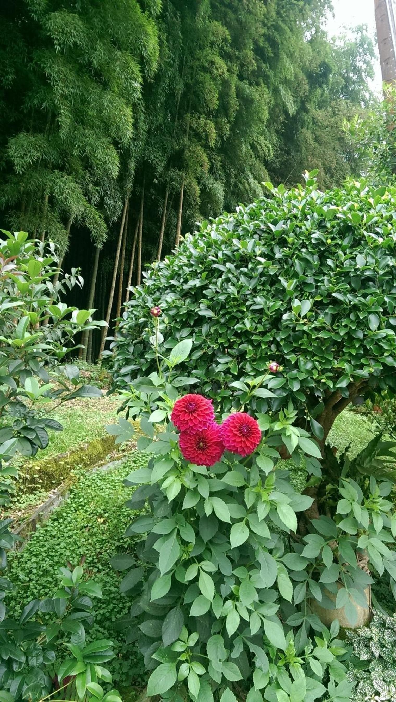 Cuiti B&B photo 6