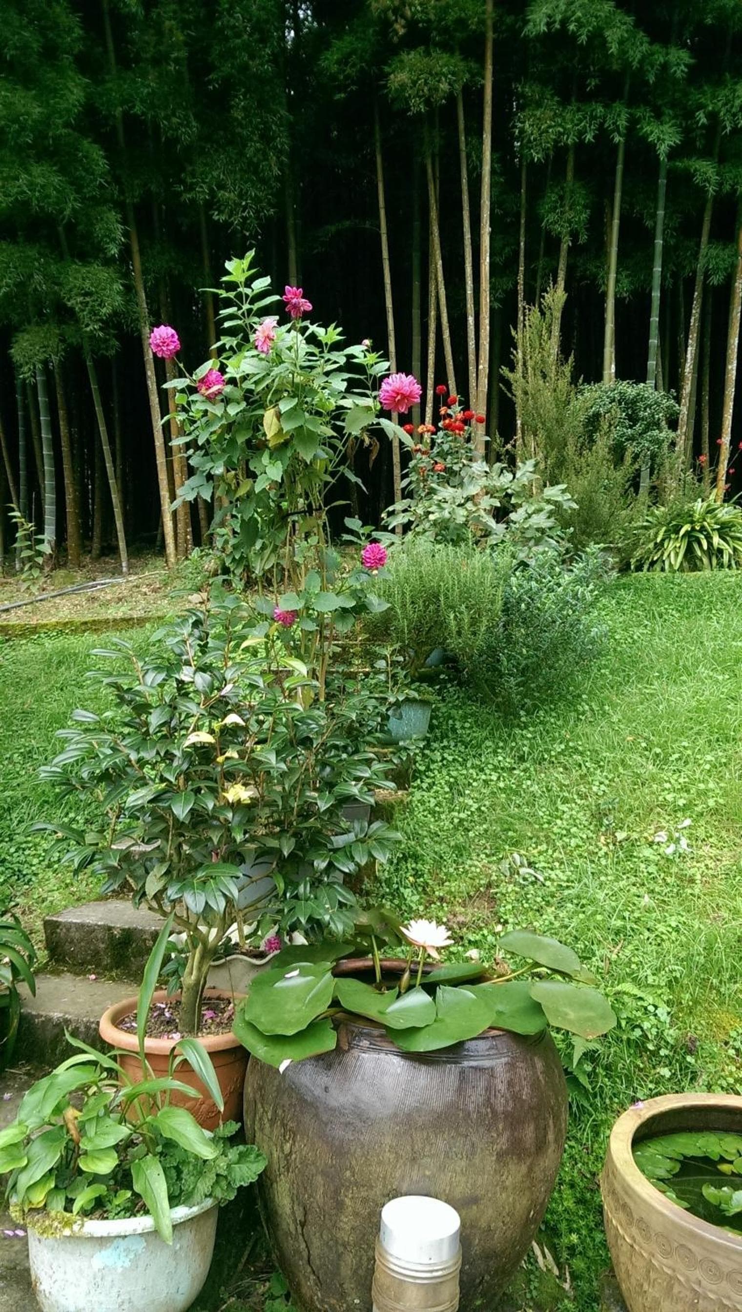 Cuiti B&B photo 3