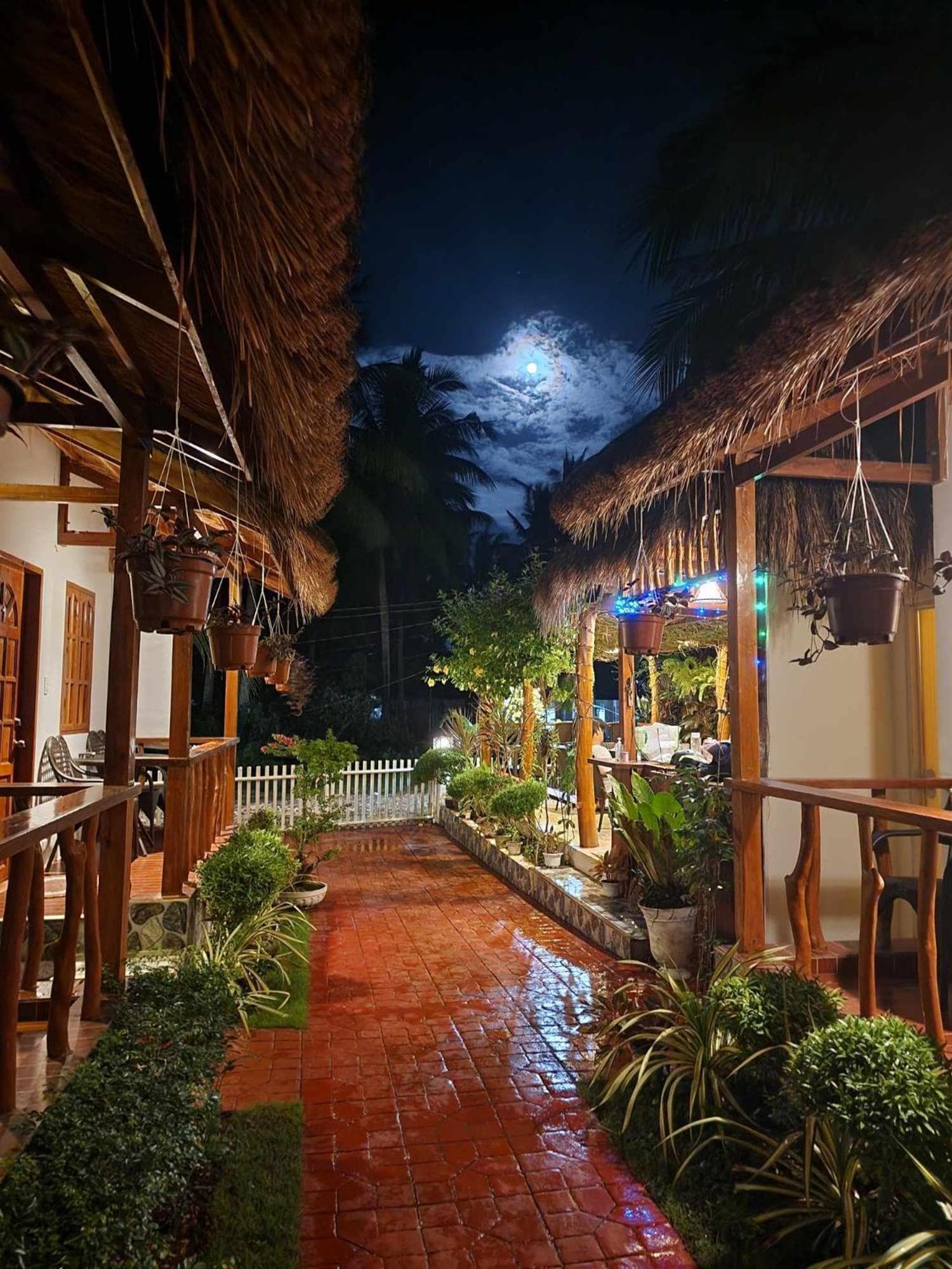Glorias Panglao Inn 1 photo 5